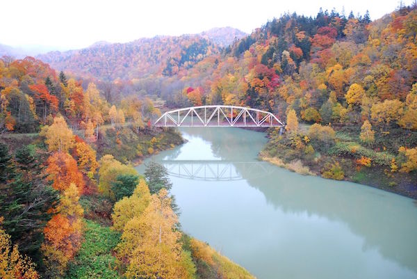 北海道　紅葉　おすすめ　道央　桂沢湖